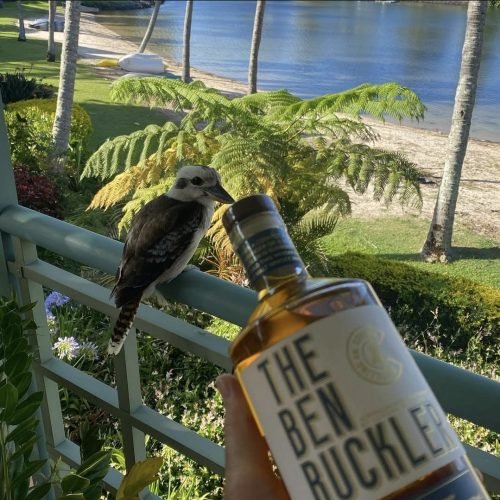 Screenshot_20251027_213155_Instagram